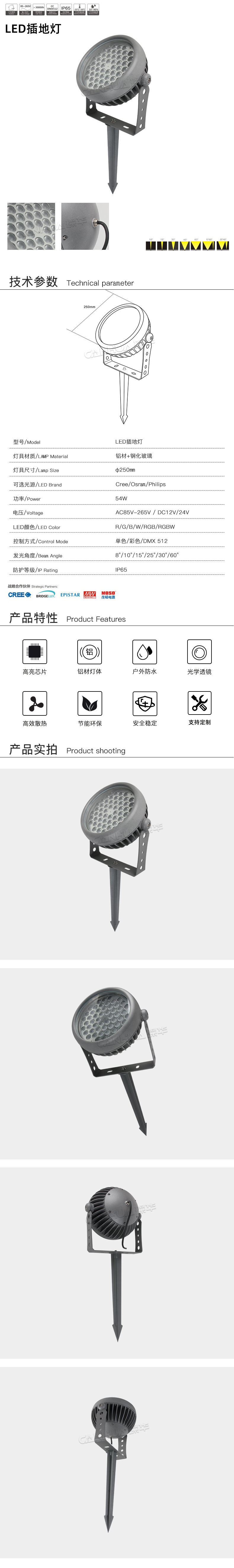 网站详情.jpg